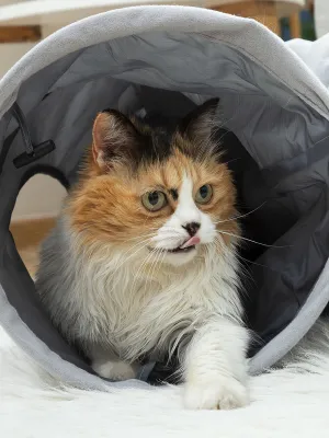 Skladací tunel pre domácich miláčikov Funnyl InnovaGoods