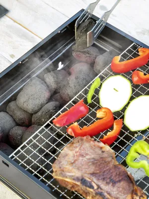 Prenosný skladací gril na drevené uhlie BearBQ InnovaGoods