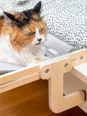 Závesná poduška pre mačky Hamacat InnovaGoods