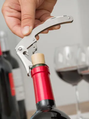 Súprava na Víno Fľaša InnovaGoods 5 Kusy