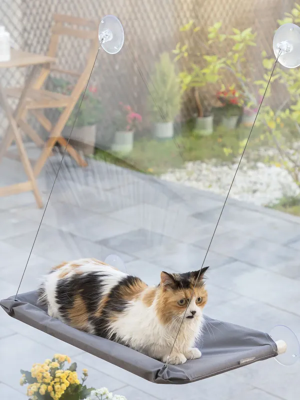 Produkt Závesná poduška pre mačky Catlax InnovaGoods Obrázok